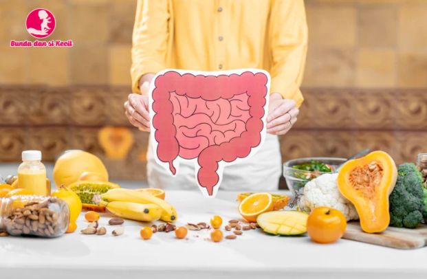 Healthy Gut: Kunci Usus Sehat untuk Bunda yang Ingin Tetap Fit, Tenang, dan Bahagia